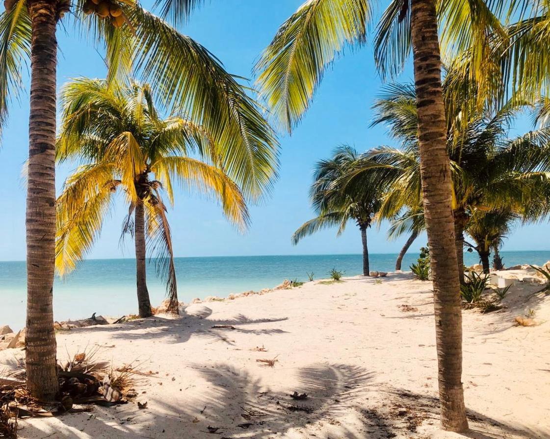 Corazon Mexicano Holbox Eksteriør bilde